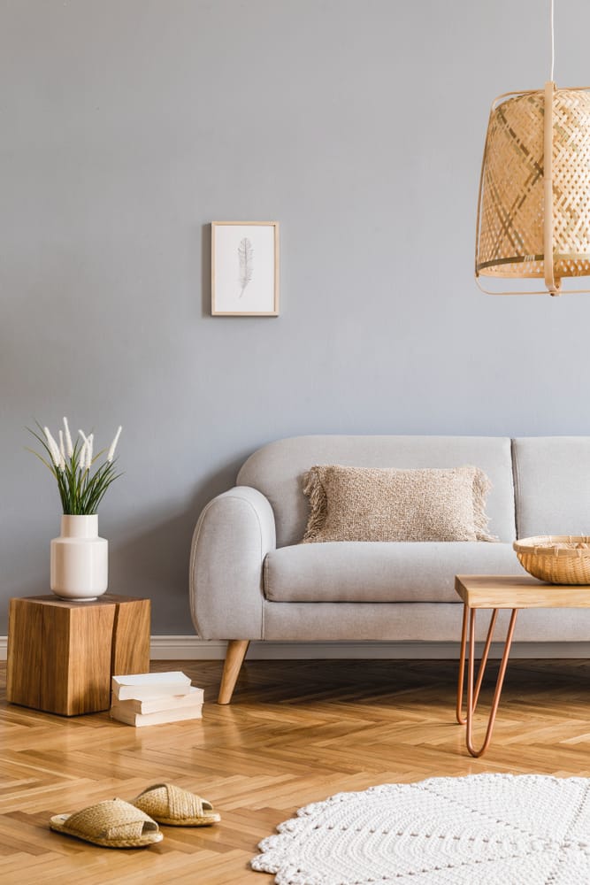 Minimalistic,Design,Home,Interior,Of,Living,Room,With,Gray,Sofa,